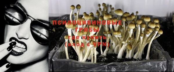 прущий лед Алексеевка