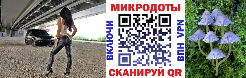 где можно купить   Аркадак  Галлюциногенные грибы Magic Shrooms 